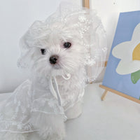 HKM-5379517 Cute White Lace Tulle Dog Skirt with Embroidery for Summer Wear