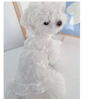 HKM-5379517 Cute White Lace Tulle Dog Skirt with Embroidery for Summer Wear