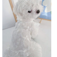 HKM-5379517 Cute White Lace Tulle Dog Skirt with Embroidery for Summer Wear
