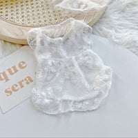 HKM-5379517 Cute White Lace Tulle Dog Skirt with Embroidery for Summer Wear
