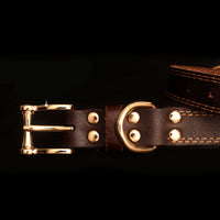 HKM-5384509 Genuine Leather Dog Collar with Adjustable Fit and Engraved Nameplate for All Dogs