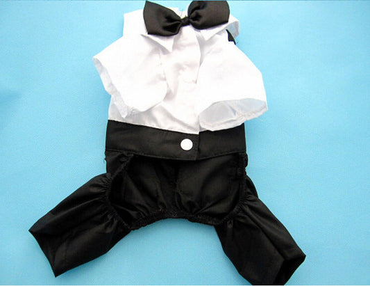 HKM-5388861 Elegant Pet Wedding Outfit with Stylish Trousers - Casual Cloth Design in Multiple Sizes
