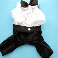 HKM-5388861 Elegant Pet Wedding Outfit with Stylish Trousers - Casual Cloth Design in Multiple Sizes