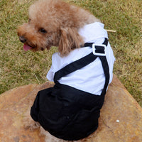 HKM-5388861 Elegant Pet Wedding Outfit with Stylish Trousers - Casual Cloth Design in Multiple Sizes