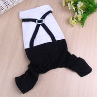 HKM-5388861 Elegant Pet Wedding Outfit with Stylish Trousers - Casual Cloth Design in Multiple Sizes