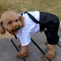 HKM-5388861 Elegant Pet Wedding Outfit with Stylish Trousers - Casual Cloth Design in Multiple Sizes