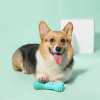 HKM-5406781 Dog Toy for Teeth Cleaning and Food Dispensing - Floating TPR Sticks, Crescent, Ball, and Bone