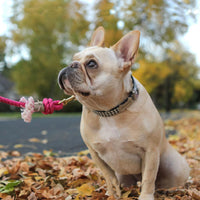 HKM-5411517 Hand Woven Cotton Dog Traction Rope - 12mm Thick, 150cm Long