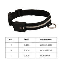 HKM-5415485 Luminous Black Dog Walking Collar with Rope for Halloween, Christmas, and Year-Round Use