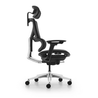 HKM-541651 Ergonomic High Back Office Chair with Adjustable Headrest and Full Mesh Fabric