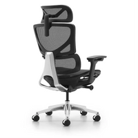 HKM-541651 Ergonomic High Back Office Chair with Adjustable Headrest and Full Mesh Fabric