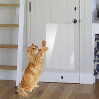 HKM-5417661 Transparent PVC Cat Scratch Stickers for Biting Fun - 15x100cm & 30x100cm Sizes Available
