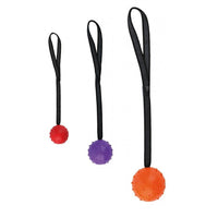 HKM-542227 Durable Rubber Dog Training Ball with Rope for Small to Medium Dogs
