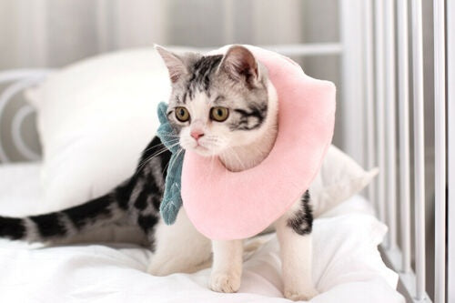 HKM-5424701 Soft Adjustable Pet Recovery Collar for Cats and Small Dogs ¨C Lemon Design E-Collar for Post-Surgery Care and Wound Healing
