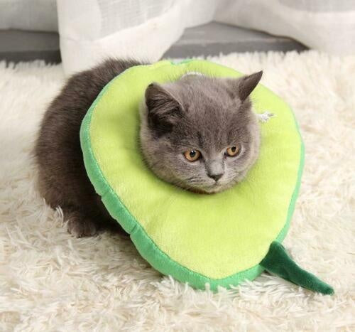 HKM-5424701 Soft Adjustable Pet Recovery Collar for Cats and Small Dogs ¨C Lemon Design E-Collar for Post-Surgery Care and Wound Healing