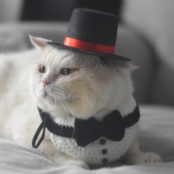 HKM-5436989 Gentleman Cat Scarf & Top Hat Set for Small Pets - Size S & M Available