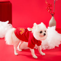 HKM-5439805 Thin Velvet Cat Sweater for Pets - Milk Silk Material, Available in Various Sizes