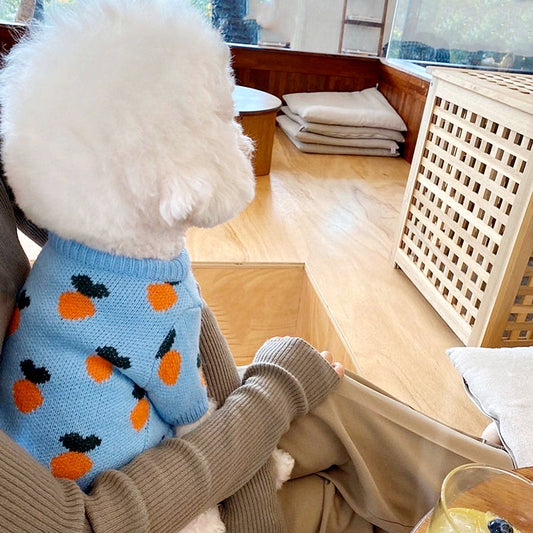 HKM-5445053 Knitted Long Sleeve Dog Sweater in Blue for Comfortable Wear