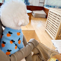 HKM-5445053 Knitted Long Sleeve Dog Sweater in Blue for Comfortable Wear