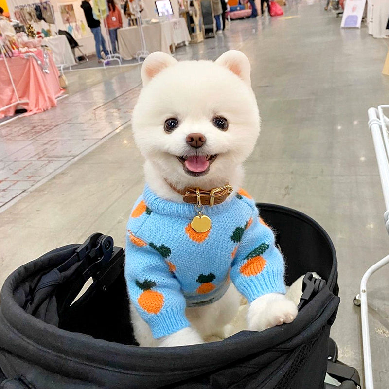 HKM-5445053 Knitted Long Sleeve Dog Sweater in Blue for Comfortable Wear