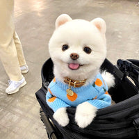 HKM-5445053 Knitted Long Sleeve Dog Sweater in Blue for Comfortable Wear