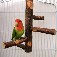 HKM-544595 Apple Wood Parrot Stand Toy – Stylish and Simple Bird Perch with Easy Assembly