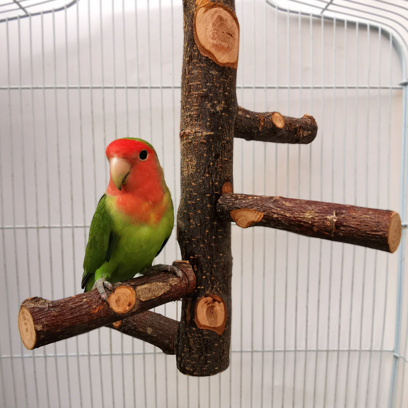 HKM-544595 Apple Wood Parrot Stand Toy – Stylish and Simple Bird Perch with Easy Assembly