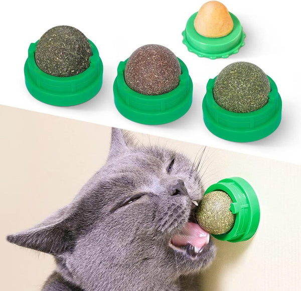 HKM-544851 Natural Catnip Balls for Teeth Cleaning and Dental Care - 4 Pack of Edible Silvervine Chew Toys for Cats
