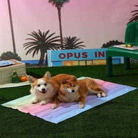 HKM-545043 Pet Ice Mat Dog Mat Summer For Sleeping