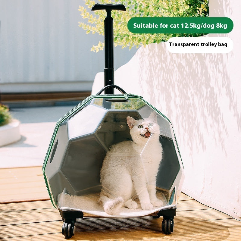 HKM-5452477 Transparent Portable Pet Trolley for Cats and Dogs - Medium Hard Luggage Case with Reinforced PC Pull Rod