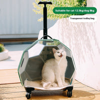 HKM-5452477 Transparent Portable Pet Trolley for Cats and Dogs - Medium Hard Luggage Case with Reinforced PC Pull Rod