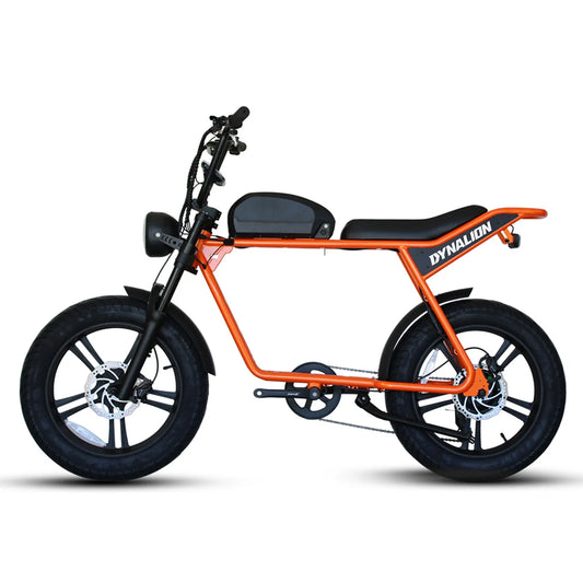 HKM-545427 1000W Electric Mountain Bike with Steel Frame, Disc Brakes, and 20" Fat Tires