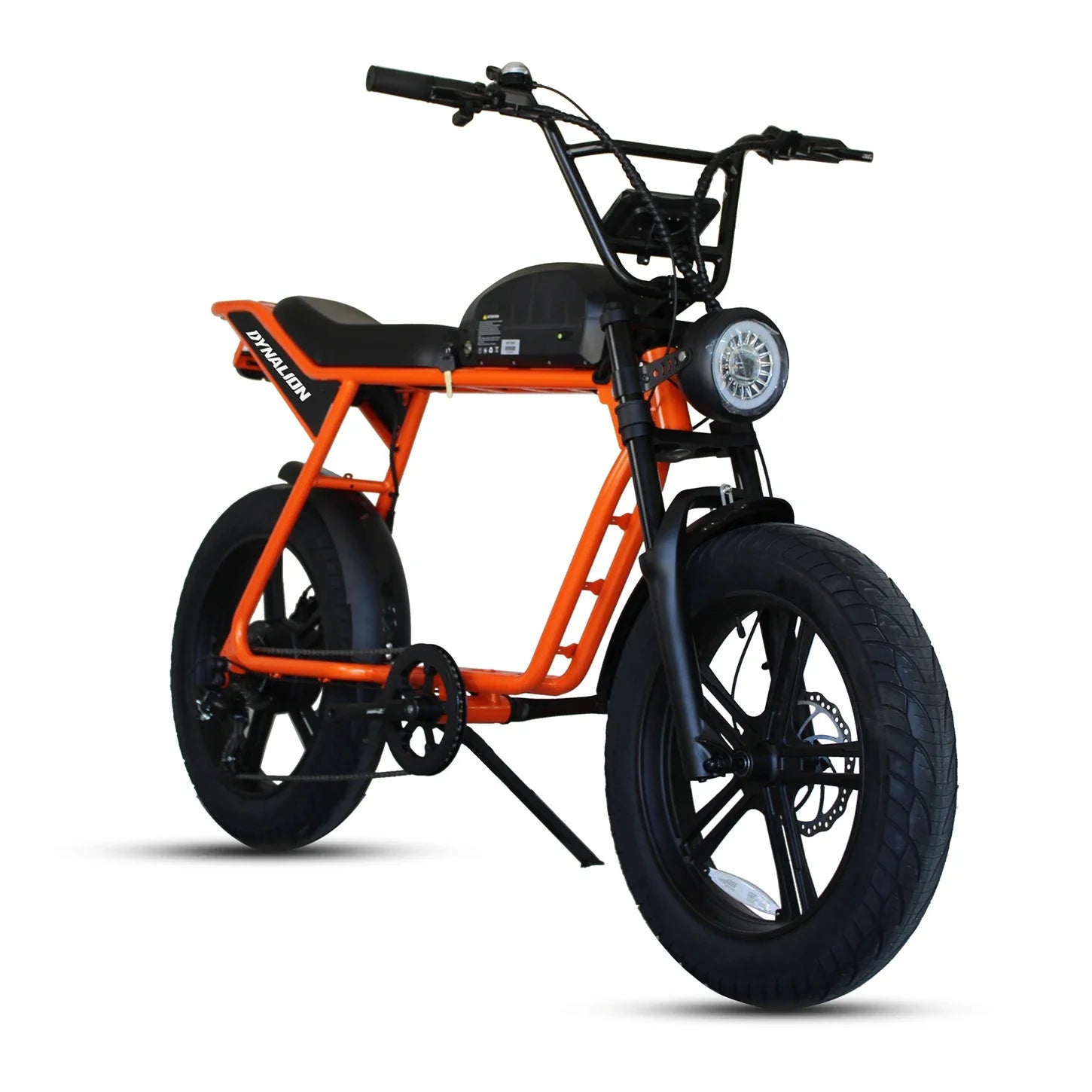 HKM-545427 1000W Electric Mountain Bike with Steel Frame, Disc Brakes, and 20" Fat Tires
