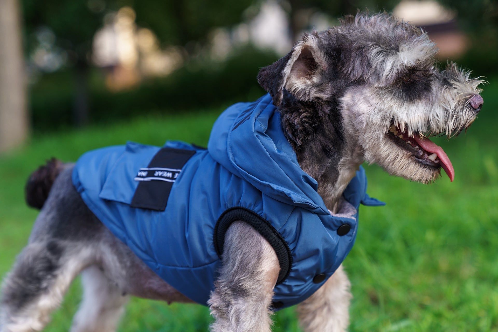 HKM-5456573 Cozy Cotton Hooded Pet Dress for Autumn and Winter in Lake Blue, Milky White, Brick Red