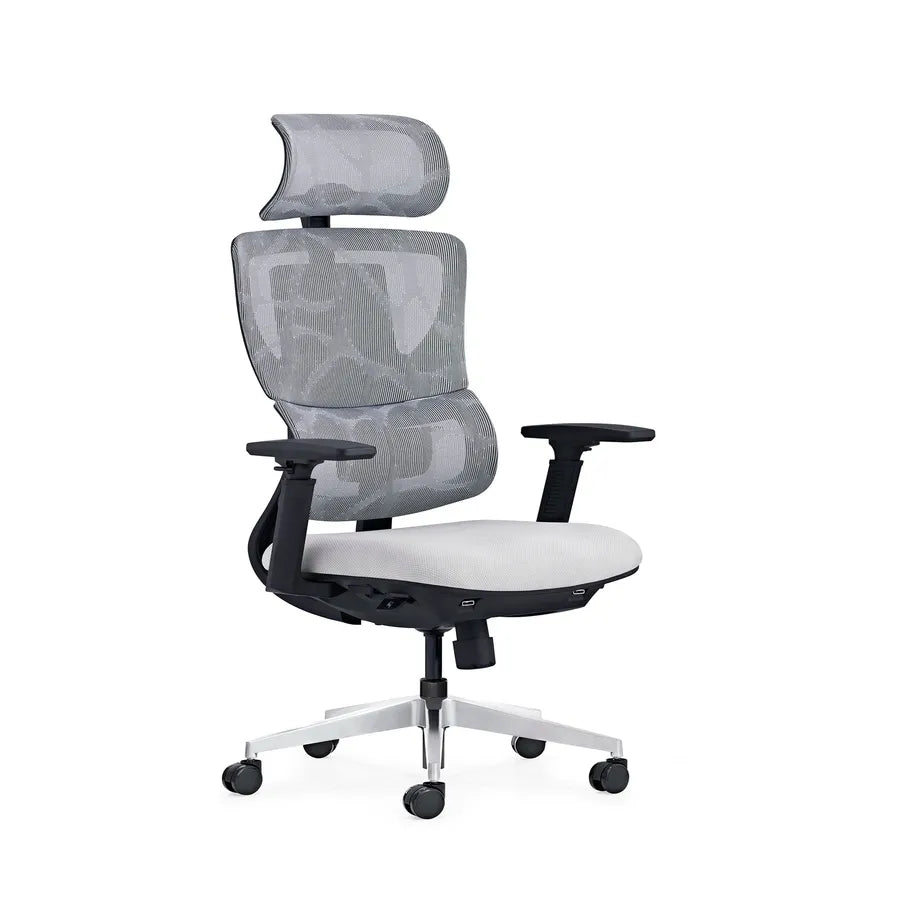 HKM-545939 Height Adjustable Executive Office Chair with Mesh Back, Footrest, and Reclining Function