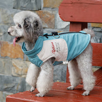 HKM-5464125 Cozy Cotton Dog Coat for Small Breeds in Red, Blue, and Black