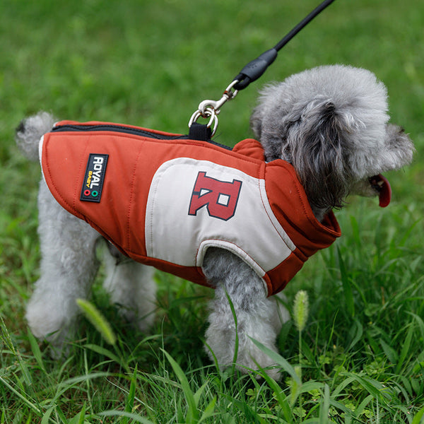 HKM-5464125 Cozy Cotton Dog Coat for Small Breeds in Red, Blue, and Black