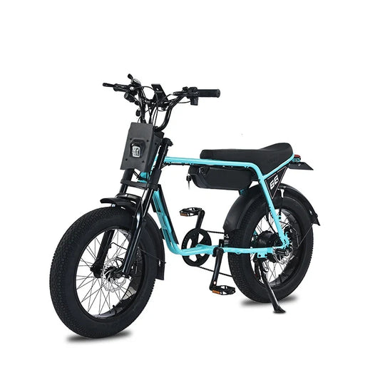 HKM-546579 48V 13AH Off-Road Electric Mountain Bike with 20 Inch Fat Tires and 7-Speed Gears