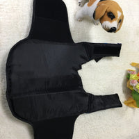 HKM-5469885 Stylish Outdoor Dog Life Jacket for Training and Swimming - Available in Blue and Red