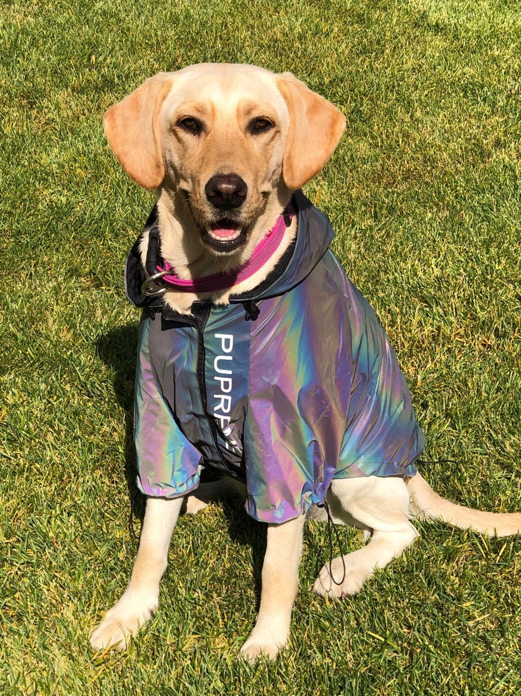 HKM-5471677 Reflective Microcrystalline Dog Apparel - Waterproof, Windproof, Wear-Resistant, Size S-4XL
