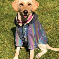 HKM-5471677 Reflective Microcrystalline Dog Apparel - Waterproof, Windproof, Wear-Resistant, Size S-4XL