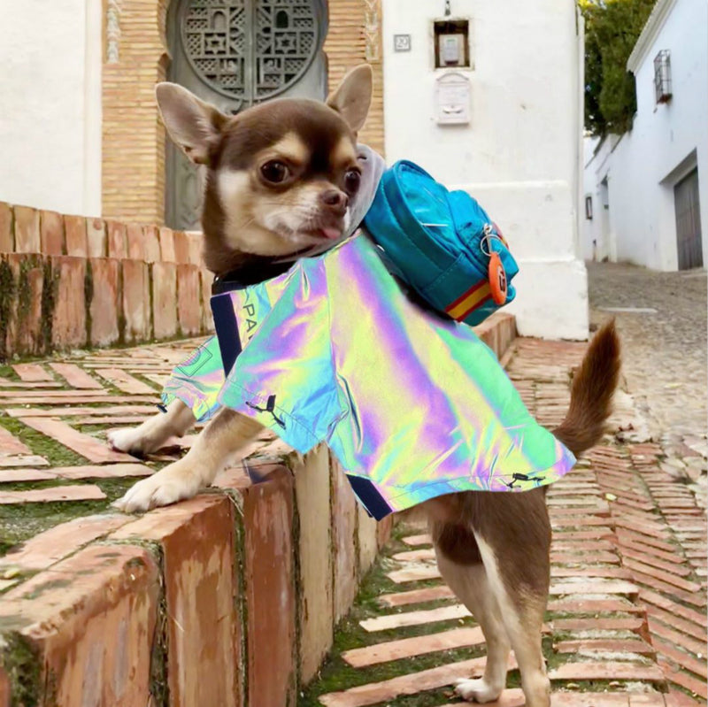 HKM-5471677 Reflective Microcrystalline Dog Apparel - Waterproof, Windproof, Wear-Resistant, Size S-4XL