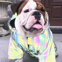 HKM-5471677 Reflective Microcrystalline Dog Apparel - Waterproof, Windproof, Wear-Resistant, Size S-4XL