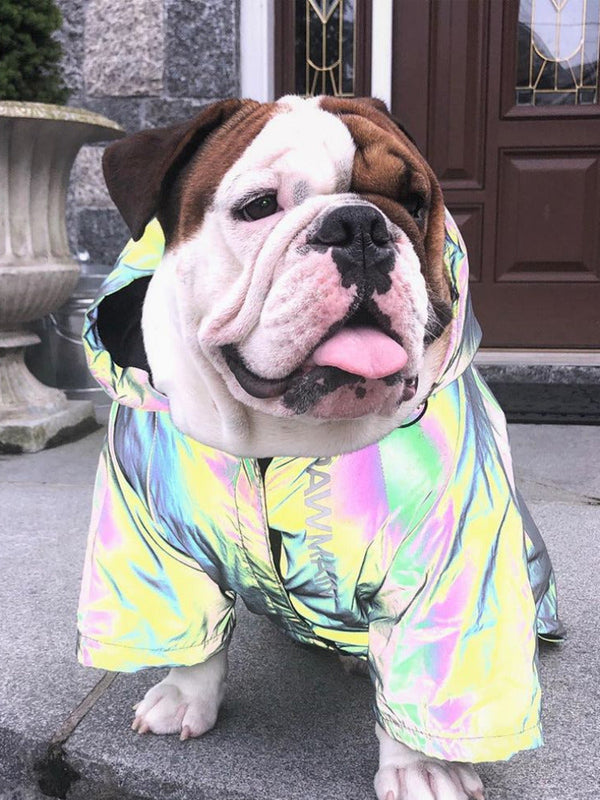 HKM-5471677 Reflective Microcrystalline Dog Apparel - Waterproof, Windproof, Wear-Resistant, Size S-4XL