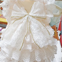 HKM-5473853 Elegant White Lace Princess Dress for Dogs - Wedding Outfit