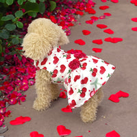 HKM-5474877 Cute Printed Skirt for Dogs and Cats in Pink Love Heart, Red Rose, and Rose Red Cherry