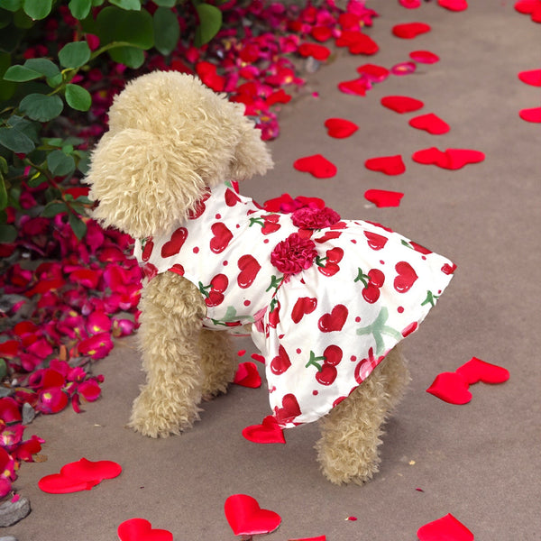 HKM-5474877 Cute Printed Skirt for Dogs and Cats in Pink Love Heart, Red Rose, and Rose Red Cherry