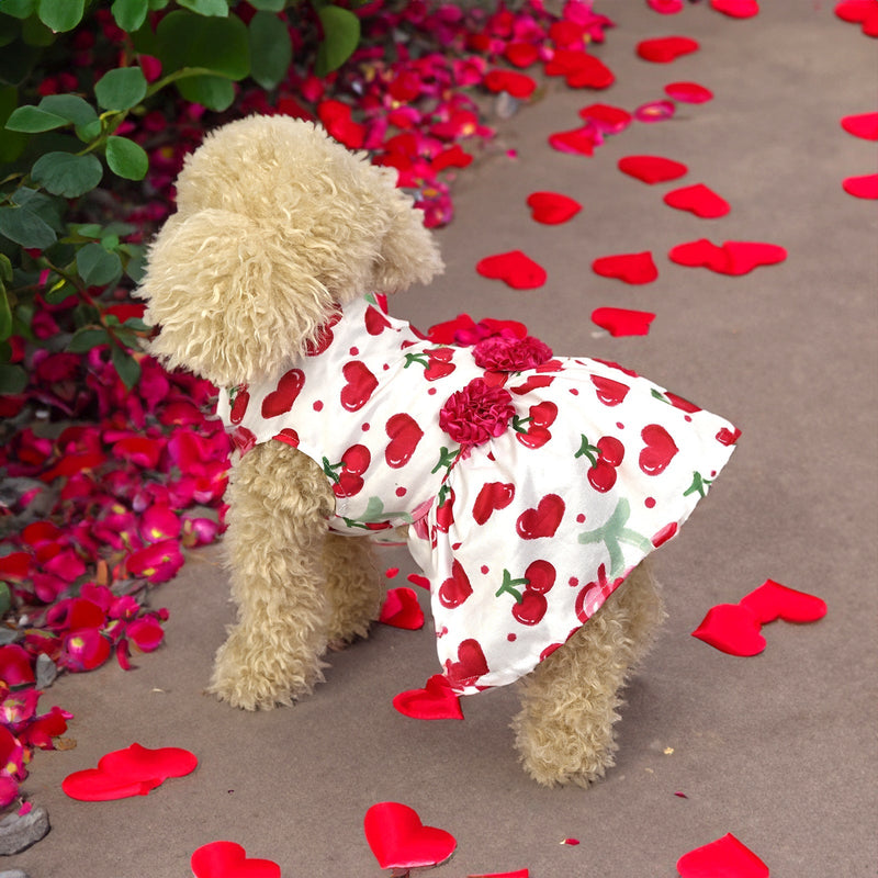 HKM-5474877 Cute Printed Skirt for Dogs and Cats in Pink Love Heart, Red Rose, and Rose Red Cherry