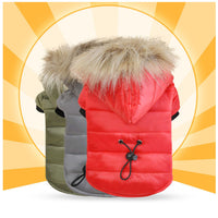 HKM-5477437 Cotton Pet Down Jacket for Comfort and Dryness