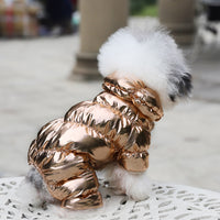 HKM-5477437 Cotton Pet Down Jacket for Comfort and Dryness